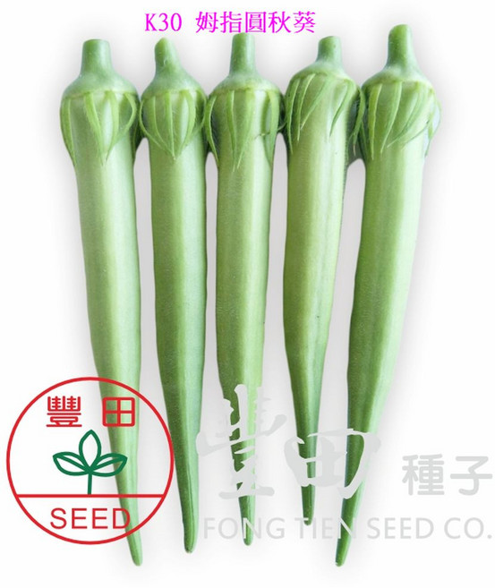 【野菜部屋~】K30 姆指圓秋葵種子 不易老化 柔嫩品質好, 1包