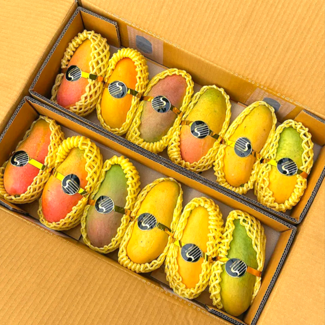 [노마진특가] 무지개망고 수입사직송 초고당도 망고, 1박스, 무지개망고 1kg