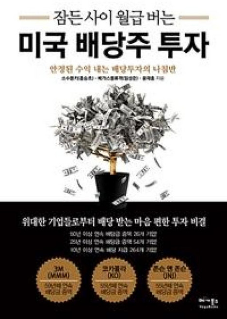 잠든 사이 월급 버는 미국 배당주 투자, 소수몽키(홍승초),베가스풍류객(임성준),윤재홍, 베가북스
