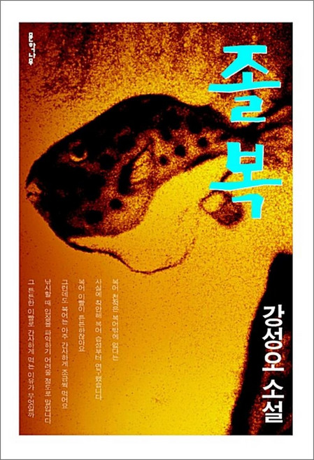 NSB9791156290827 새책-스테이책터 [졸복] ---문학나무-강성오 지음-2000년대 이후 한국소설-20181015 출간-판형 146x210-3, 졸복