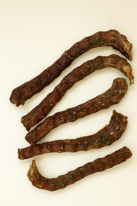 강아지 오리목뼈 건조간식 100g 치석제거 저온건조, 대형(약 20CM/ 3~5개입), 150g, 1