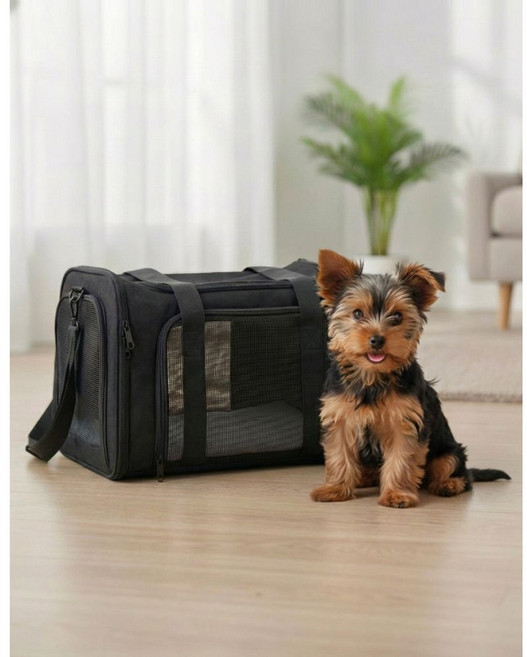 피디노스 강아지 고양이 가방, 1개, 블랙