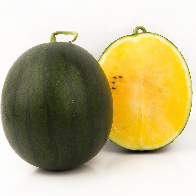 [꿀맛보장] 고당도 프리미엄 블랙다이아 망고수박, 1개, 3kg내외