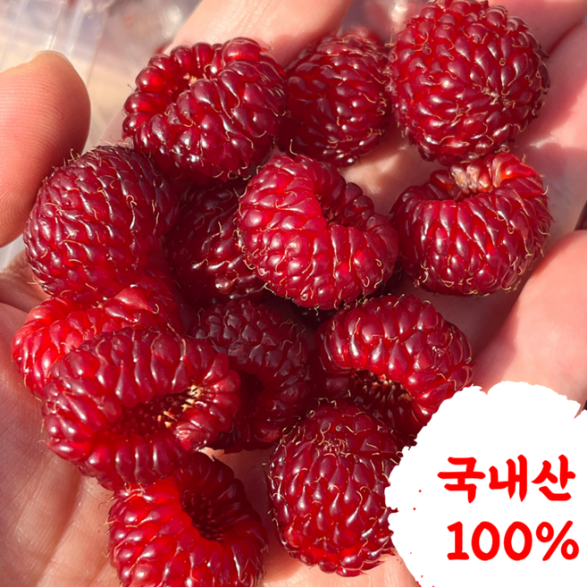 [당일수확] 시즌한정 새콤달콤 프리미엄 김해산딸기, 2개, 250g
