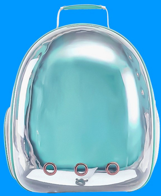 우아지오 반려동물 투명 외출가방 우주선 백팩, 1개, 민트