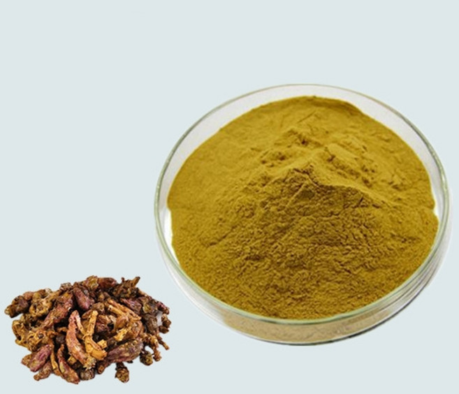 머위추출분말 100g 샘플, 단품, 1개