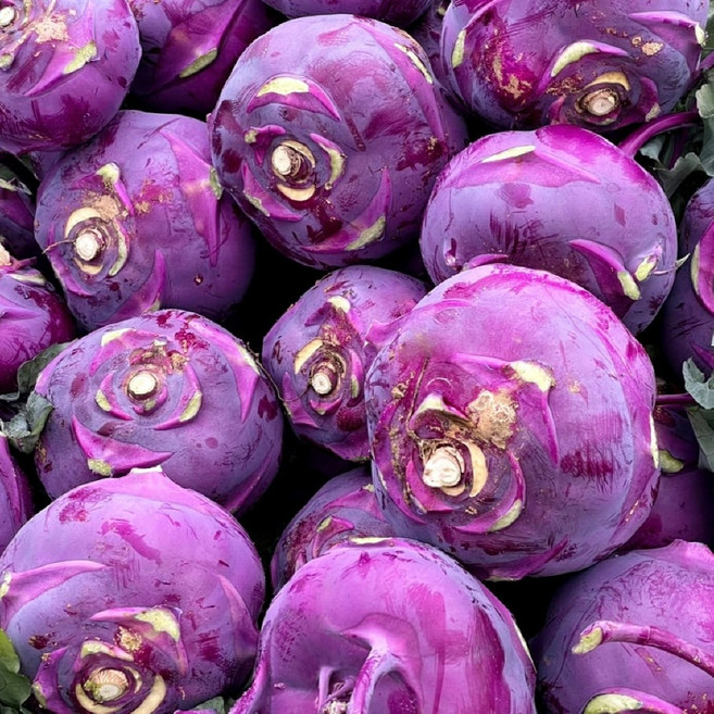 농장직송 제주 프리미엄 콜라비 정품 못난이, 1개, 5kg