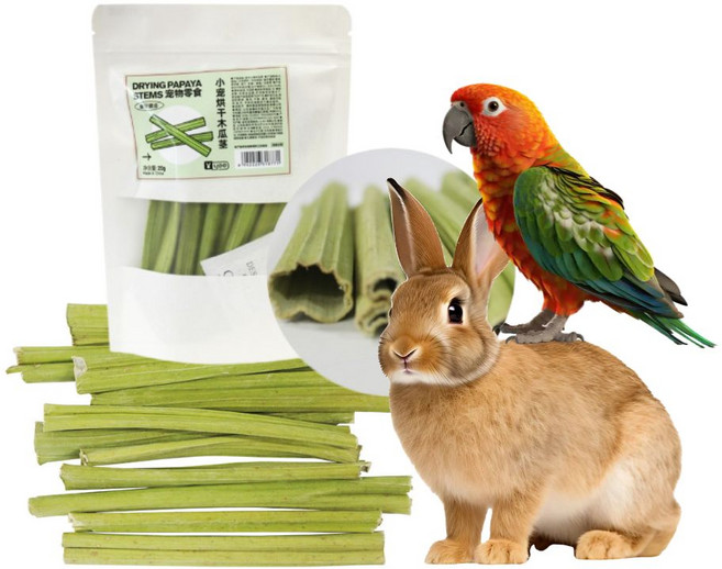 토끼 햄스터 앵무새 이갈이 간식 건조 파파야 줄기