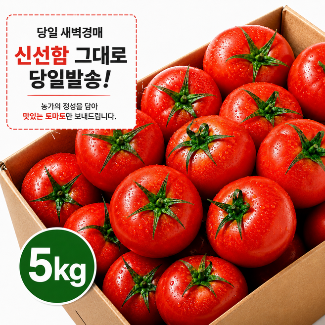 [새벽경매]국내산 정품 토마토5kg 완숙토마토 찰토마토 북대구공판장경매당일발송, 1박스, 5kg