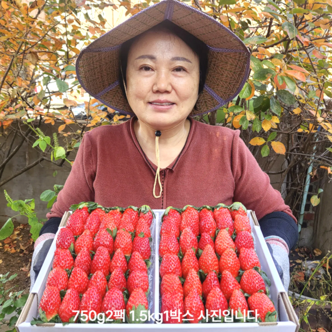 [상위1%고당도] 프리미엄 제철 설향 금실 장희 딸기 새콤달콤 생딸기, 1세트, 2kg(500g4팩)