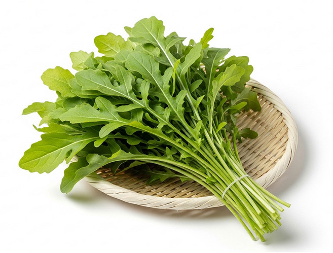 쉐프의정원 로케트 루꼴라 500g, 1개