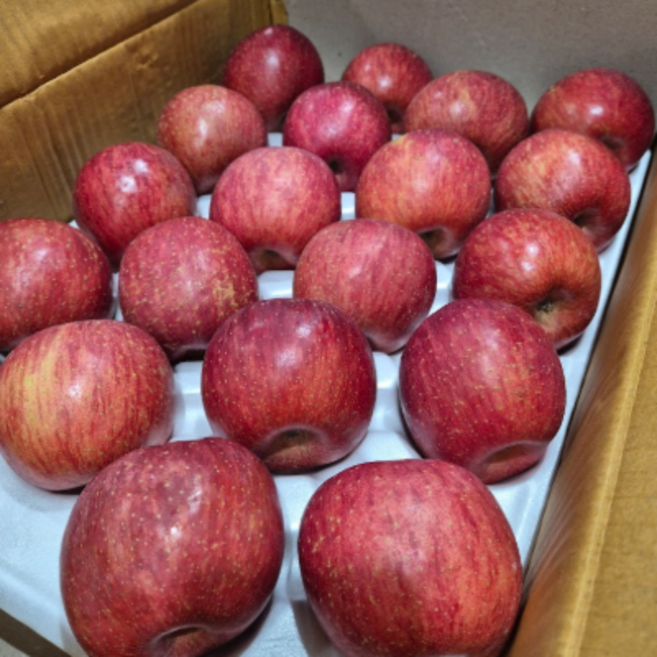 명품 부사사과 경상북도 고당도 선물용 정품 부사 사과 (정품), 1개, 5kg 대과 (선물포장)