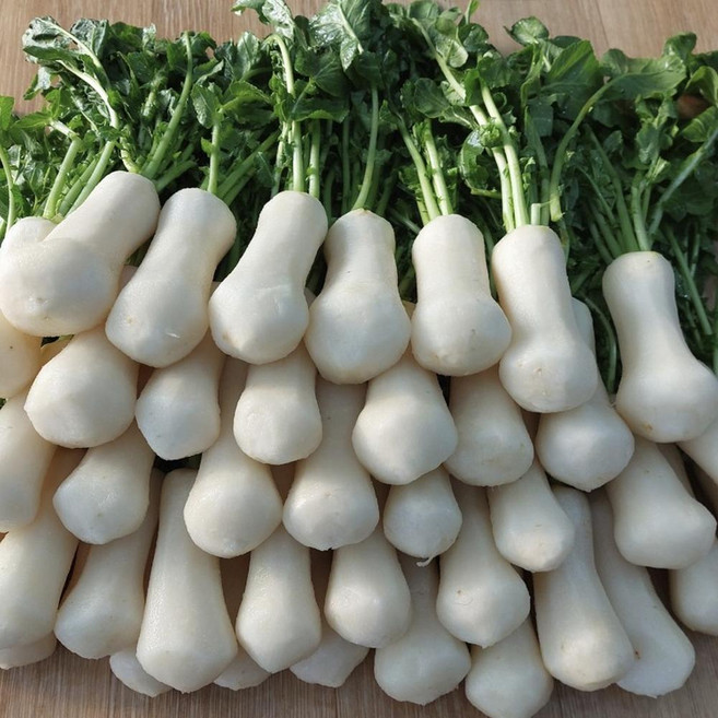 [후메디] 손질 세척 절임 알타리무 초롱무 총각무 10kg, 1박스