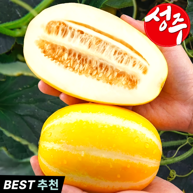 [재구매율99%] 당도선별 아삭달콤 꿀참외 성주참외, 1개, 4kg