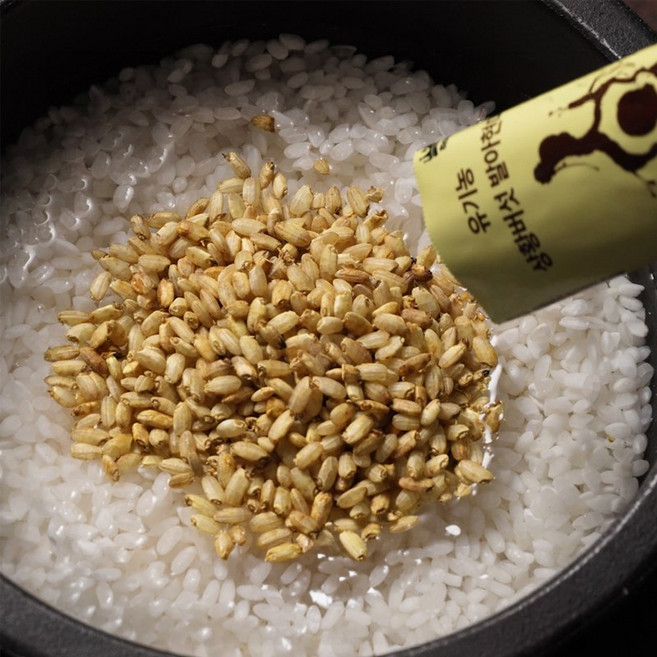 하이칸 유기농 상황버섯 발아현미쌀 친환경공법, 80개, 20g