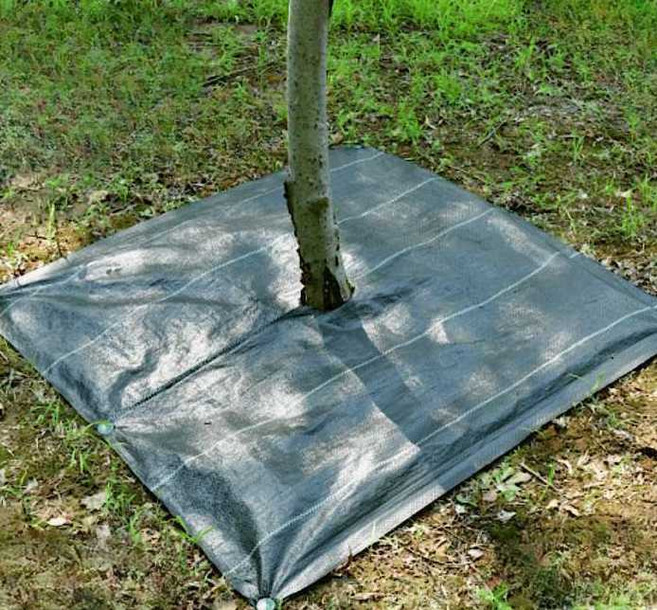 나무 방초망 잡초 방지 수목 사각 부직포 제초매트 덮개필름 100매, 1개, 1.0.6m(100장)못100/노화방지생분해성