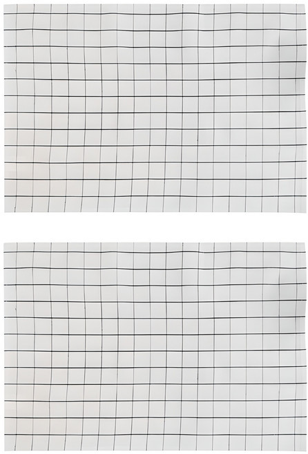 아리코 심플 체크 면 키친크로스, 화이트 B, 2개