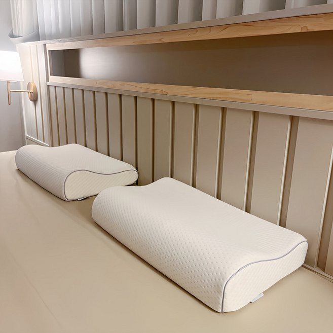 프리니아 메모리폼 경추 베개, 화이트, 2개