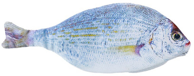 허니잼 리얼 생선 필통 광어 물고기 파우치 펜슬케이스 쓸데없는 웃긴 선물 5type, 1개, 피라미