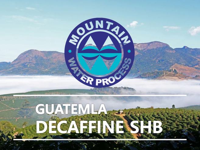 어라운드트레이딩 디카페인 과테말라 마운틴워터, 1개, 1kg