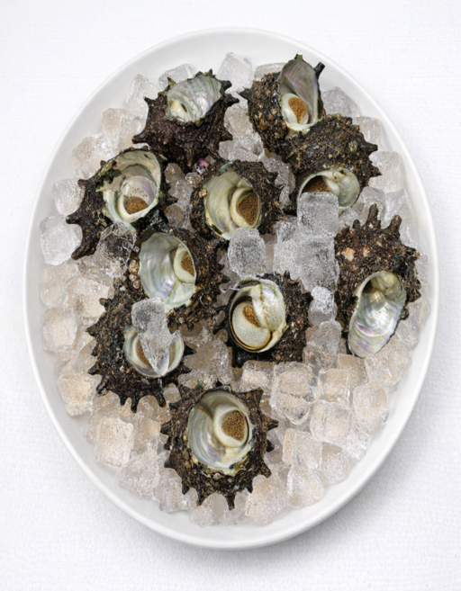 거제도 해녀채취 자연산 뿔소라 살아있는, 1박스, 1kg(8-10미)