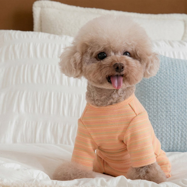 푸키 강아지 스트라이프 올인원 여아용, 1개, 오렌지
