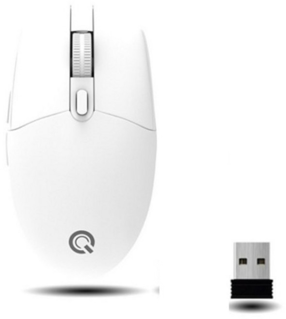 (QSENN) 무선 광마우스 M1000 (화이트), QSENN 무선 광마우스, M1000 화이트, 화이트