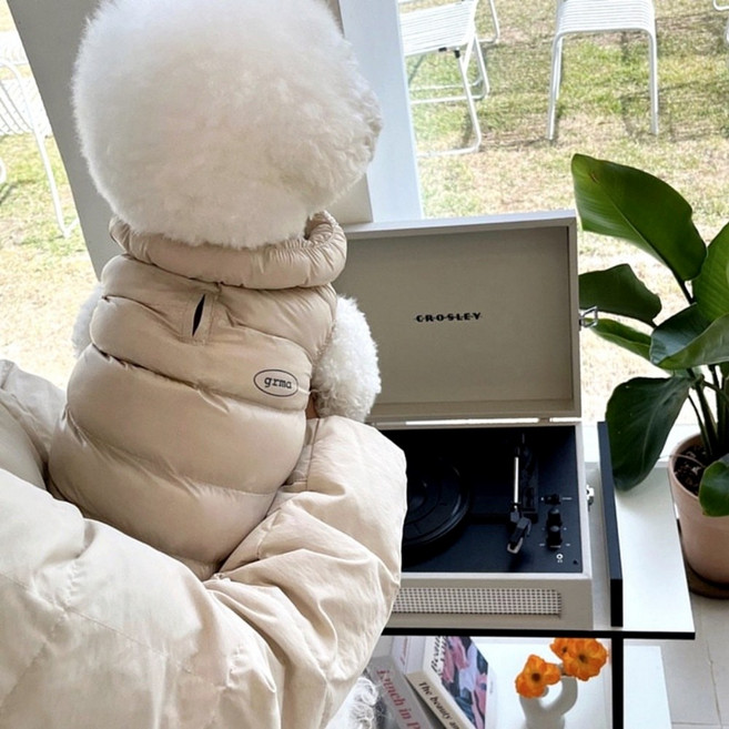 소원담 클라우드 강아지 패딩조끼 겨울옷 애견 고양이 중형견, 코토리베이지, 1개