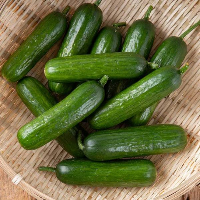 (신선집중) 간편하고 아삭한 미니오이 2kg, 1개