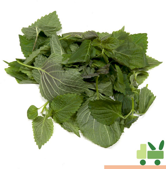사라상회 깨순 (어린깻잎 깻순) 1kg, 1개