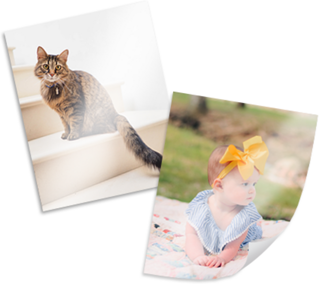 스튜디오 대한 찰칵포토 온라인 사진인화 [디지털 은염 사진], 100장, D3 (127x95mm)