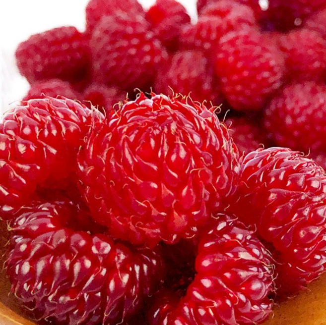 국내산 급냉 산딸기 탱글탱글 새콤달콤한 산딸기, 2세트, 500g