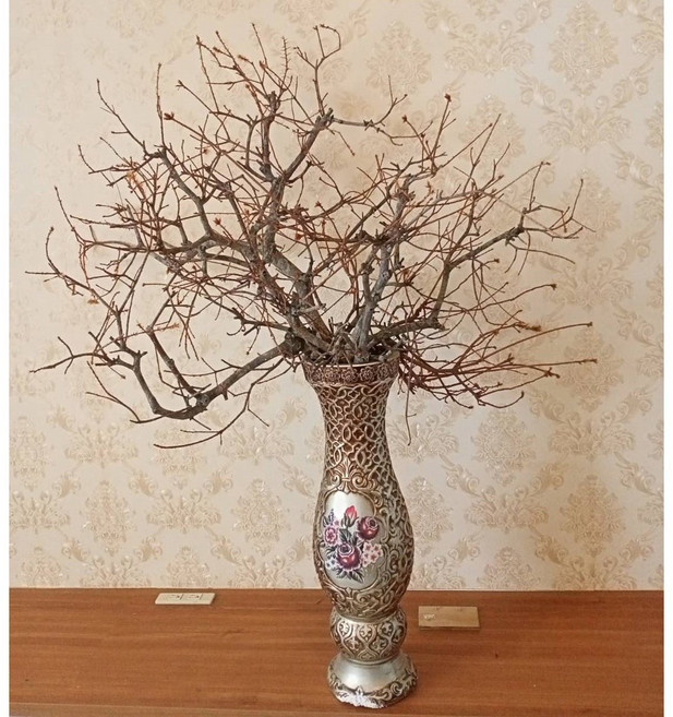 松木五葉松枝 居家空間裝飾 營造自然舒適氛圍, 1個