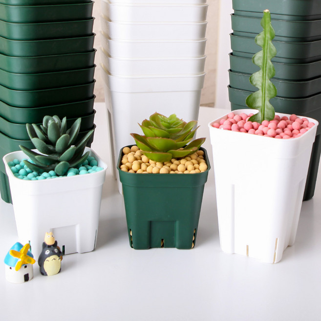 세경팜 프레스테라 사각 슬릿화분 삽목 플라스틱화분, 화이트, 5개