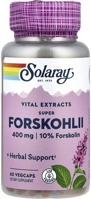 Solaray 아유르베다 허브 슈퍼 포스콜리 400mg 베지 캡슐 60정, Solaray아유르베다허브슈퍼포스콜리400mg베지캡슐6, 1개 - 쿠팡