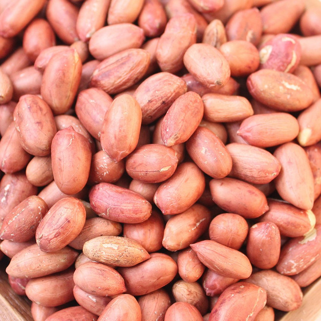 볶음알땅콩 500g 볶은 땅콩 볶음땅콩 신선 땅콩 쪽빛누리, 1개