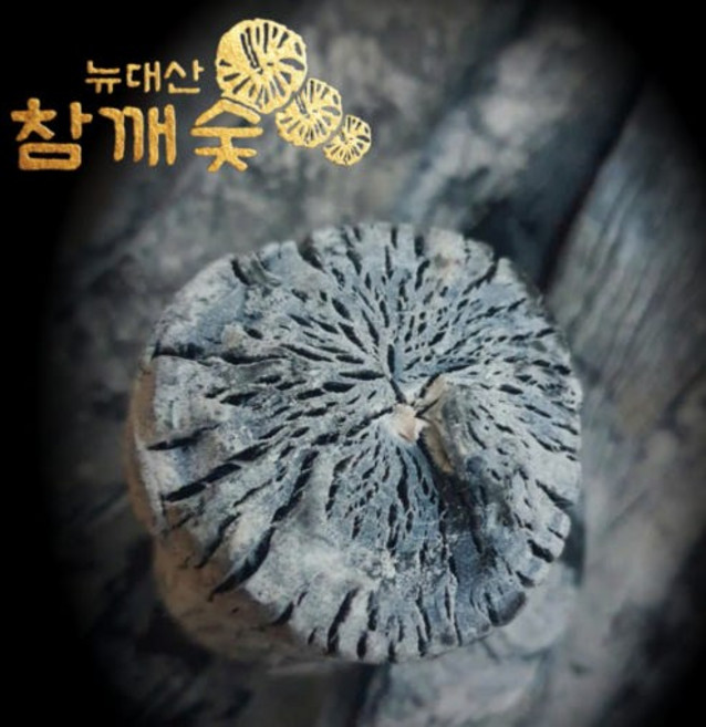 [뉴대산 참깨숯] 라오스 마이띠유 비장탄 SS 사이즈 10kg 참숯 캠핑숯 백탄 바베큐 구이용 캠핑용, 1박스