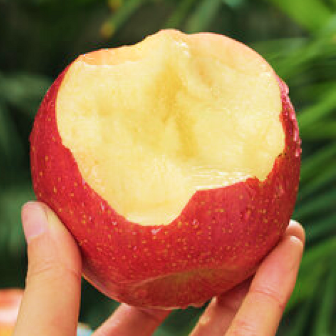 [신년기념]초특가 당도선별 경북 안동 꿀사과, 1박스, 3kg