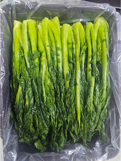 [재영농산] 주문 담그는 여수 돌산 절임갓 (갓김치용 생산 신선 절임) [원산지:국산(전라남도 여수시)], 3kg, 1박스