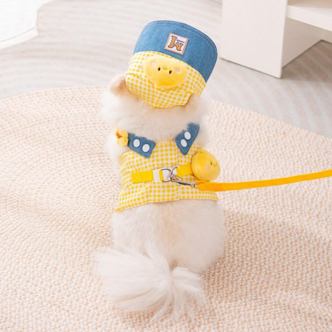 Dog 도고 강아지 패션 편안한 하네스 모자 가슴줄 리드줄포함 세트, 1세트, 노란 병아리