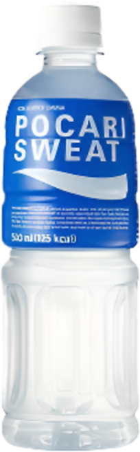포카리스웨트, 500ml, 10개