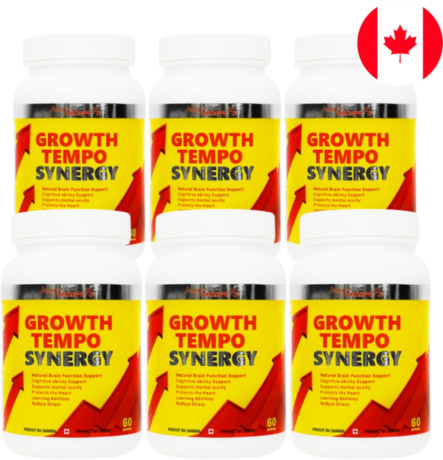 그로스템포 시너지 PNC 6병 두뇌 브레인 영양제품 6개월, 6세트, 60정