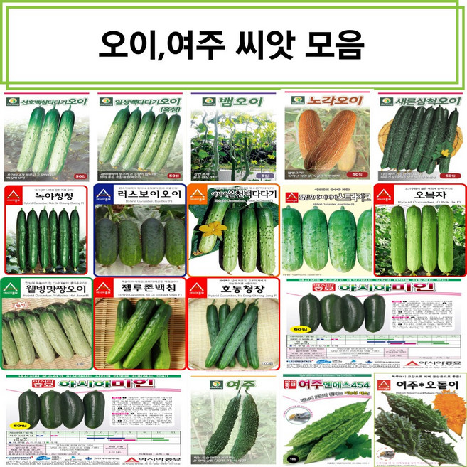 코리아팜 오이 여주씨앗/선호백침다다기오이/일성백다다기오이/뱀오이/노각오이/새론삼척오이/녹야청청/러스보이/신아시아은천백다다기/아시아스트라이크/오복자/웰빙맛짱/젤루존백침/호동청장, 9.아시아종묘-아시아스트라이크 50립, 1개