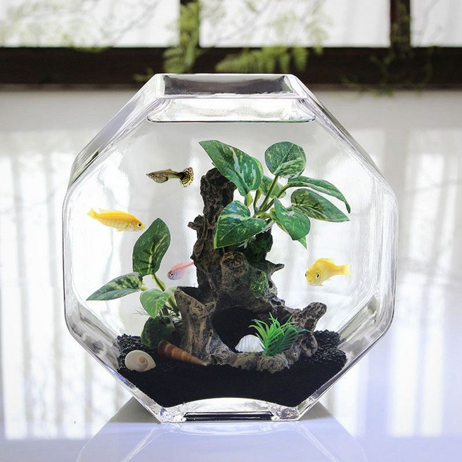 玻璃魚缸 花瓶 水培器皿 桌面小型魚缸, 1個, 大號魚缸+套餐4