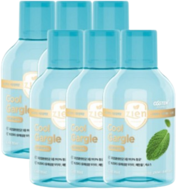 오스템파마 뷰센 쿨가글, 250ml, 6개