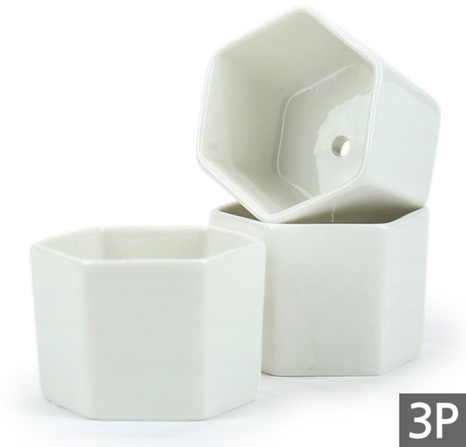 세인화분 육각 백자 미니화분 3P - 다육 다육이 화분 콩분 잎꽂이, 3개, 육각 미니백자