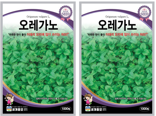 오레가노 씨앗 1000립 허브씨앗 세계종묘 모칸도 2개~10개