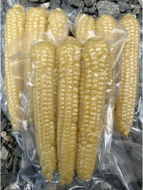 25년 햇 국내산 100% 괴산 대학 찰옥수수 미백 찐 삶은 냉동 옥수수 15cm이상 1박스, 15개