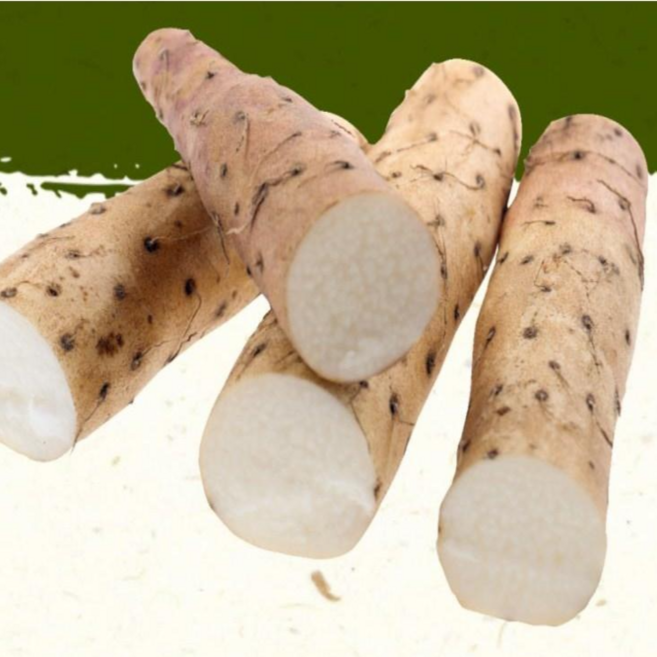 <당일출고> 국내산 안동 장마 산마, 1박스, 상 4kg