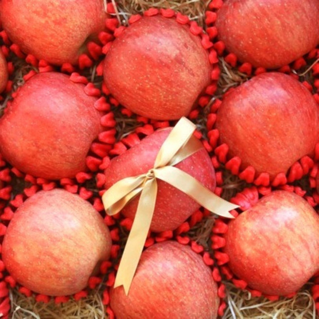 안동 꿀사과 정성담은 명품 프리미엄 홍로 사과 선물세트 당도최고, 1박스, 선물용 사과(5kg)